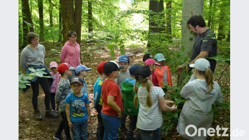 Die Mädchen und Buben des Kindergartens Don Bosco sammeln bei einer Waldwoche viele Eindrücke. Projektleiterin Julia Dobmayer (Zweite von links) lud dazu WBV-Förster Andreas Eiser (rechts) ein, der den Kindern durch ein Experiment zeigte, wie sich Wasser im Waldboden reinigt. Bild: dob