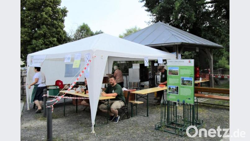 Beim Pavillon neben dem Stadtweiher verkaufte der Fischereiverein Grafenwöhr Forellen. Bild: rgr
