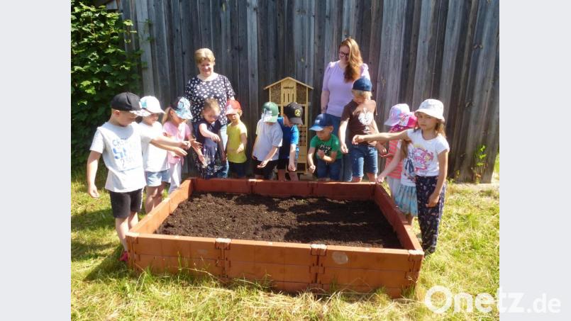 Die Kleinen des Kinderhauses St. Barbara tun etwas für die Umwelt und säen eine Blumenwiese im Hochbeet an. Bild: bk
