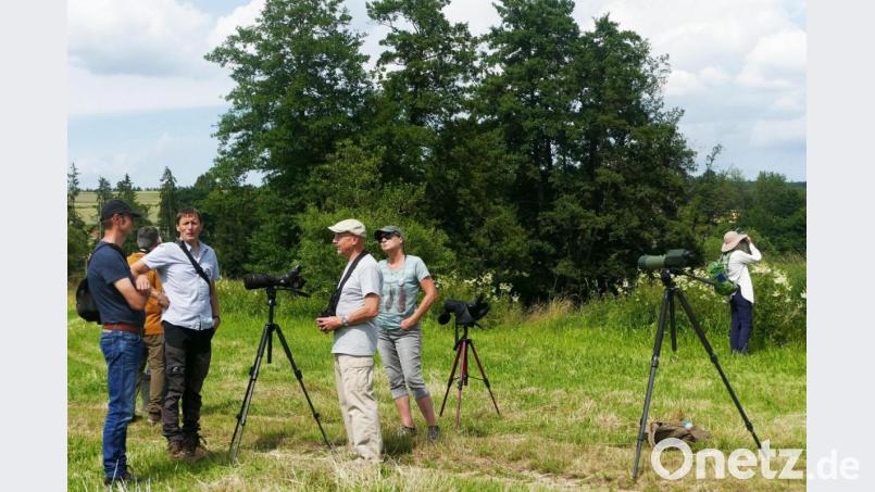 Ausgerüstet mit Ferngläsern und Spektiven erkundeten 27 Naturfreunde die Vogelwelt rund um ein LBV-Grundstück bei Schönau im Schwarzachtal. Bild: Leonhard Hierhammer/exb