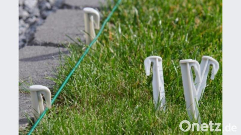 Die ausgezeichneten Bio-Erdhaken der Firma Genisys. Bild: mma