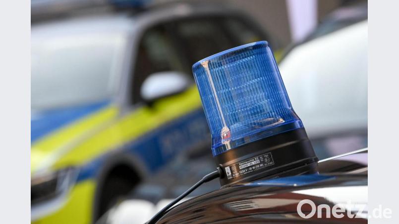 Bei einer Fahrzeugkontrolle bei Passau hat die Polizei sechs Hundewelpen in einem Kofferraum gefunden. Sie wurden in viel zu kleinen Boxen transportiert. Bild: Hendrik Schmidt/dpa