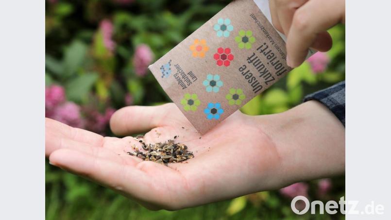 Das haben die Landkreisbewohner in den vergangenen Tagen in ihren Briefkästen gefunden. Das Landratsamt hat ihnen Blumensamen und ein Poster geschickt. Bild: Wolfgang Steinbacher