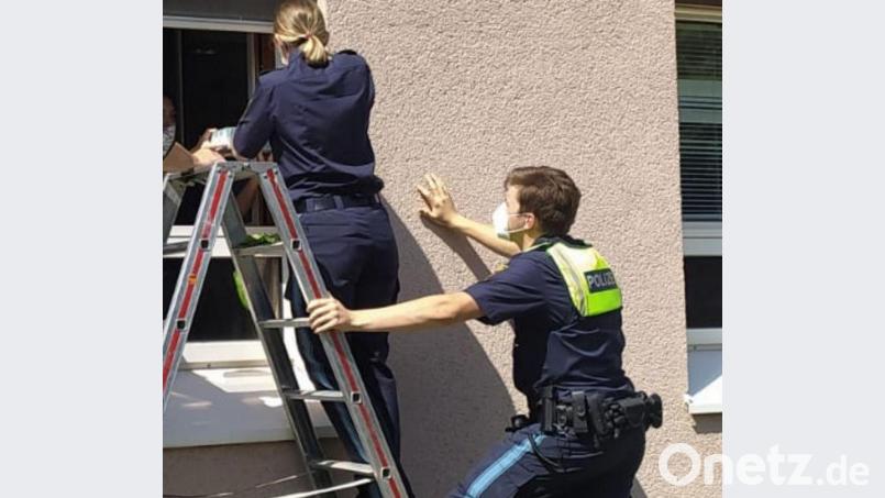 Angehende Polizeibeamte und ein Ausbilder zeigten bei einer Vogelrettung vollen Einsatz. Bild: Bereitschaftspolizei Sulzbach-Rosenberg