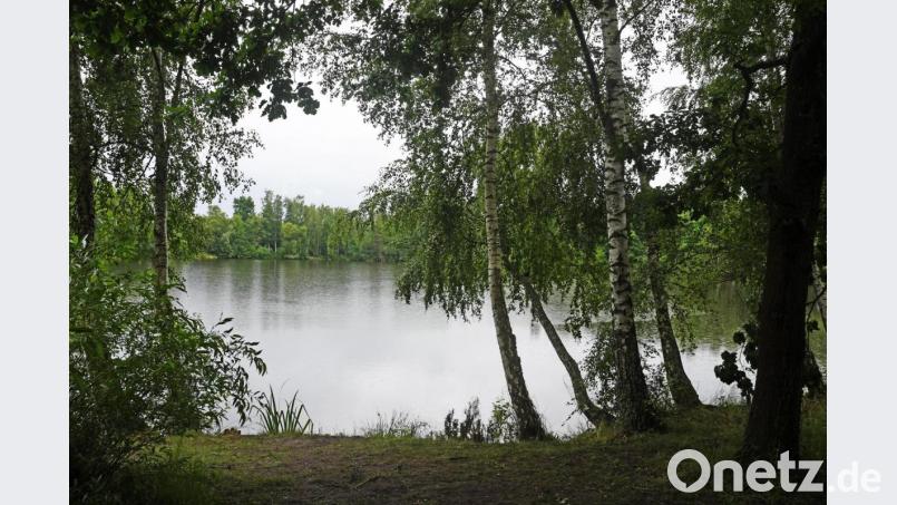 Umsäumt von Birken ist der Weiher, in dem in der Nacht auf Montag ein 70-jähriger Mann tot gefunden wurde. Bild: Gabi Schönberger
