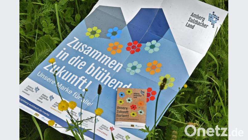 Wer einen Aufkleber mit „Keine Werbung“ am Briefkasten hat, hat den Brief mit den Blumensamen nicht bekommen. Deshalb laufen nun im Landratsamt die Telefone heiß. Bild: Petra Hartl