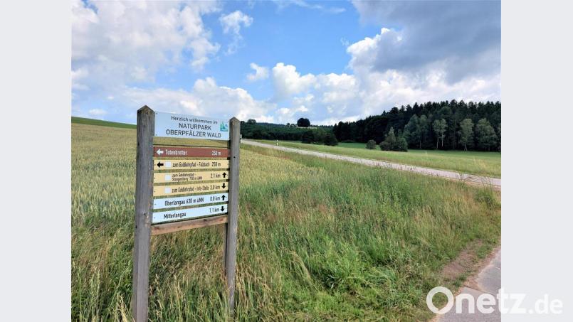 Die Auswirkungen des Klimawandels auf Böden und Gewässer im Murachtal der Langau (Bild) standen im Fokus eines Info-Abends für Landwirte. Ähnliche Veranstaltungen des Amts für Ländliche Entwicklung Oberpfalz sollen auch für andere Regionen folgen. Bild: lg
