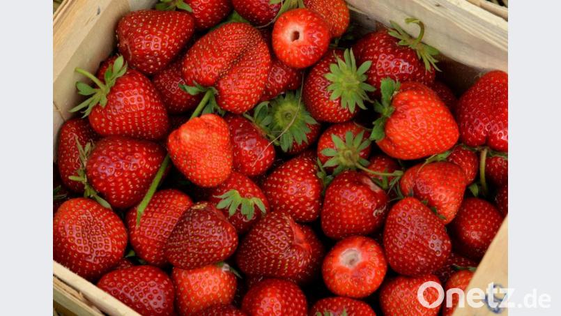 Eine 82-Jährige wollte in einem Verbrauchermarkt in Amberg eine Erdbeerschale nicht bezahlen. Bild: Petra Hartl