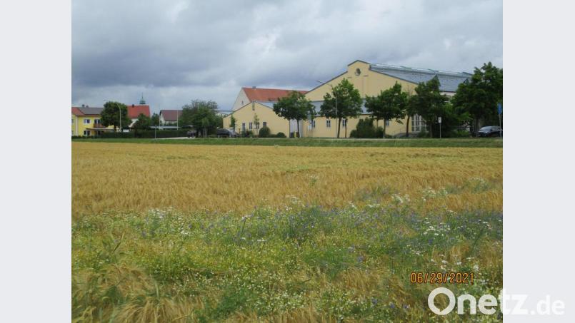 Auf der freien Fläche gegenüber der Landgraf-Ulrich-Halle plant die Stadt Pfreimd die Erschließung eines Baugebietes für zehn Wohnhäuser. Bild: bnr