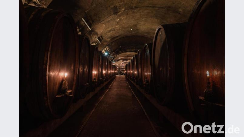 Die besten Geschichten aus den Weinkellern der Welt hat der Autor ausgegraben. Symbolbild: Nicolas Armer