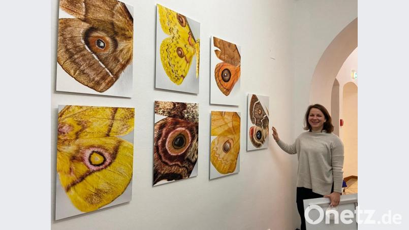 Johanna Foitzik, die Geschäftsführerin des Luftmuseums vor Fotografien aus der Sammlung Ströhle. Der Schmetterlingsexperte führt am 13. Juli selbst durch die Ausstellung. Archivbild: ass