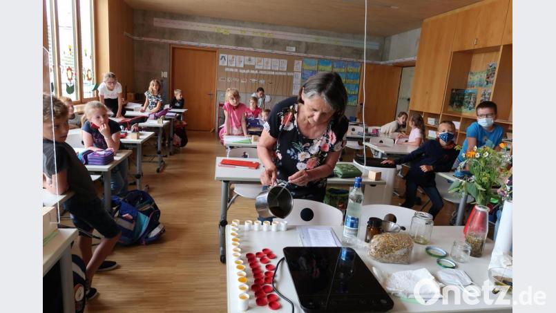 Die Klasse 2b mit der Kräuterführerin Frau Zettl. Bild: Grundschule Plößberg/exb