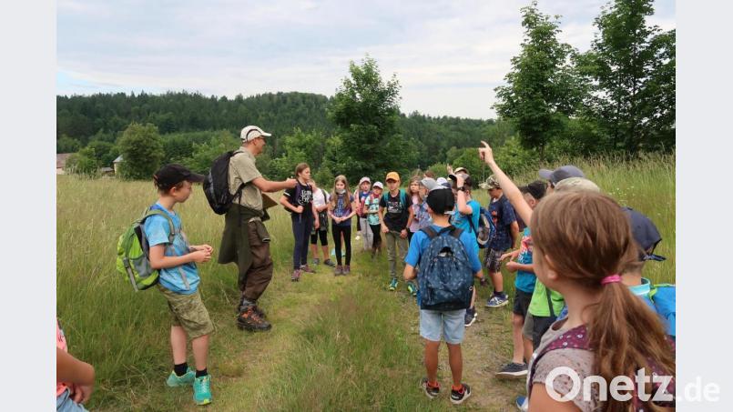 Eine Exkursion führte die Kinder der Grundschule Plößberg ins FFH-Gebiet Altglashütte. Als sachkundiger Führer stand Naturpark-Ranger Heiko Hofmann Rede und Antwort. Bild: Grundschule Plößberg/exb