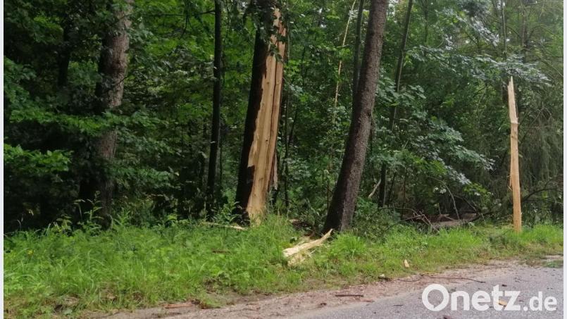 Die Trümmer liegen überall. Ein Blitz hat bei Hirschwald einen Baum regelrecht zerfetzt. Bild: wpt