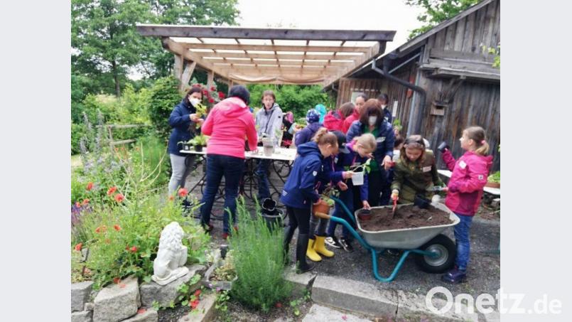 Mit Begeisterung bepflanzten die Kinder die mitgebrachten Blumentöpfe mit Stecklingen, die sie nun zu Hause großziehen können. Bild: rpp