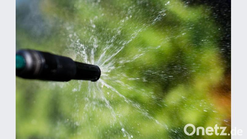 Das Gießen des Gartens und das Bewässern des Rasens sind bei der aktuellen Wetterlage zwar nicht so dringend nötig. Doch grundsätzlich sollte dafür kein wertvolles Trinkwasser geopfert werden. Symbolbild: Julian Stratenschulte/dpa