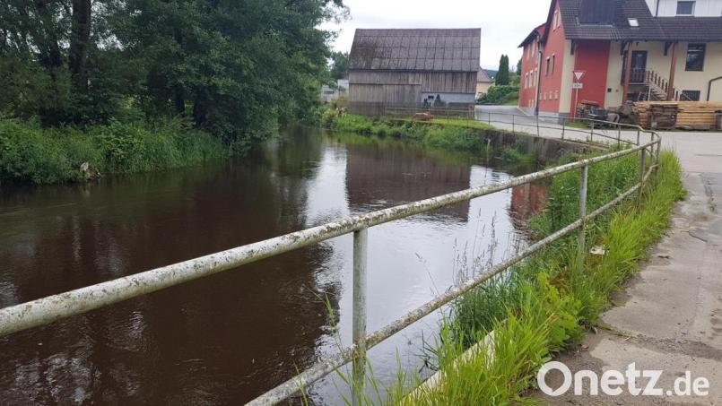 Das rund 100 Meter lange Geländer, eine Absicherung zwischen Gemeindestraße und dem tieferliegenden Pfreimdfluss, macht den Bauausschussmitgliedern nicht nur wegen der Kosten große Sorgen. Bild: gi