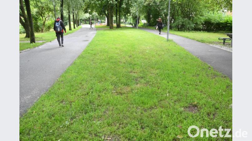 Viel Raum für eine neue Idee bietet der Park an der Kurt-Schumacher-Allee: Das jedenfalls findet Stadtrat Rainer Sindersberger und schlägt vor, hier Weidens Christkindlmarkt 2021 abzuhalten. Bild: Gabi Schönberger