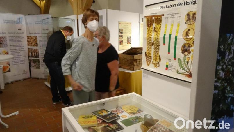 Museumsleiterin Edith Zimmermann freut sich über die &quot;kleine, aber feine Ausstellung&quot;, wie sie sagte. Bild: hka
