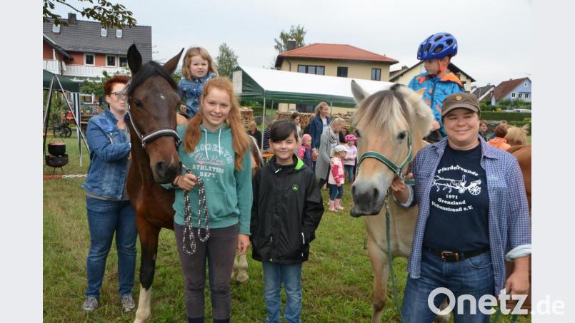 Für die zu Hause geblieben Mädchen und Buben werden die Sommerferien bestimmt nicht langweilig, denn es gibt wieder die unterschiedlichsten Aktionen beim Ferienprogramm. Auch heuer lädt der Verein der Pferdefreunde im Grenzland wieder zu Ponyreiten und Kutschfahrten. Archivbild: dob