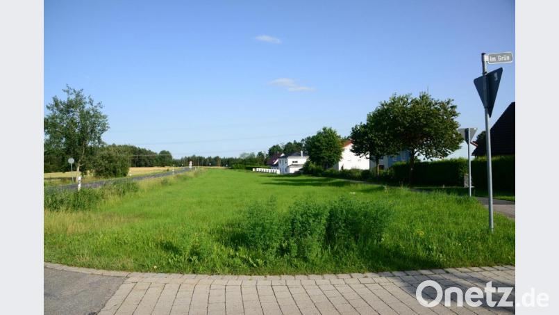 Die Grünfläche zwischen der Weidener Straße und der Bebauung soll mit 4 bis 6 Wohnhäusern bebaut werden. Für die Aufstellung eines Bebauungsplanes im vereinfachten Verfahren gab der Marktgemeinderat grünes Licht. Bild: bey
