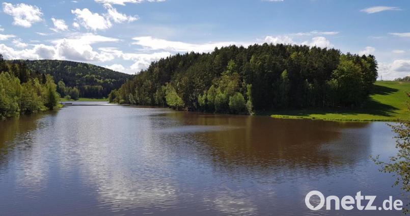 Blick auf den Bereich der Vorsperre am Eixendorfer Stausee aus Richtung Hillstett. Am Runden Tisch sind weitere Maßnahmen besprochen worden, um die Nährstoffe zu reduzieren und die Blaualgenblüte einzudämmen. Bild: Mardanow