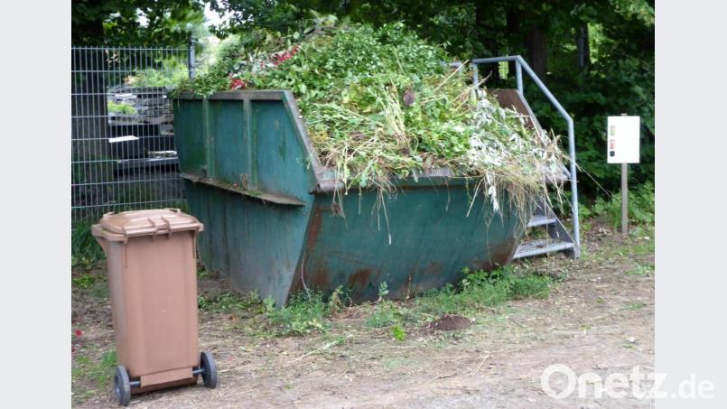 Um den Grüngutcontainer und die braune Biotonne geht es am Abfallberatungstag in Kohlberg. Bild: fsb