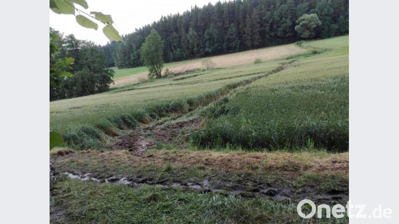 Für Landwirte zeigt dieses Weizenfeld bei Störnstein so etwas wie die klassische &quot;Schneise der Verwüstung&quot;. Sie soll auf die von Tennet veranlassten Probebohrungen für den Süd-Ost-Link zurückgehen. Bild: Karl Meier/exb