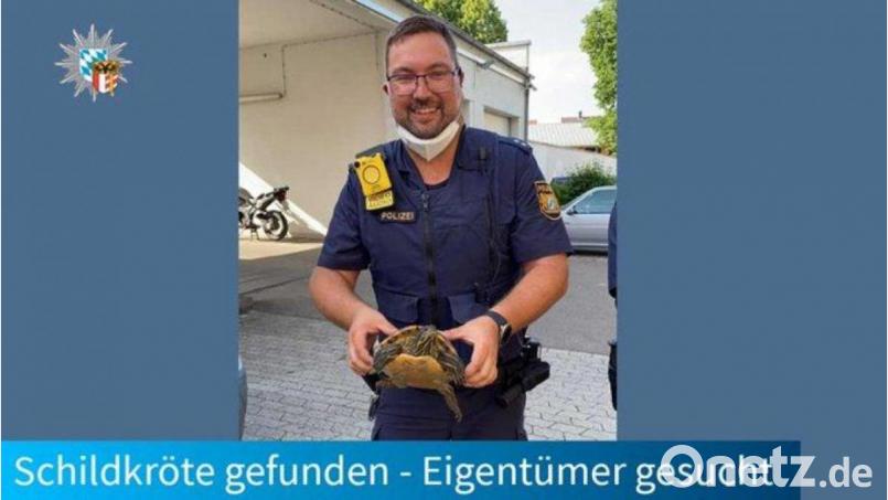 Die Polizei hat in Augsburg eine entlaufen Schildkröte von einer Skateranlage geholt. Bild: Polizei Schwaben Nord/dpa