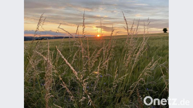 Nichts ist mehr gefürchtet als Sturm und Hagel. die ganze Felder vernichten. Umso schöner wenn sich abends die Sonne in aller Ruhe vom Tag verabschiedet. Bild: dob