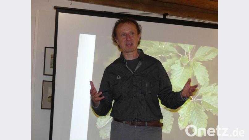 Die Faszination von Baumpersönlichkeiten der Oberpfalz vermittelte Jürgen Schuller. Bild: rn