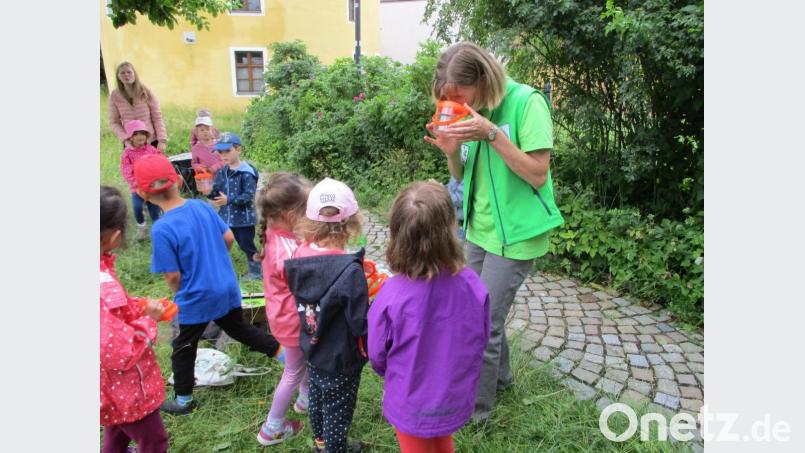 Naturpädagogin Birgit Simmeth zeigte den kleinen Besuchern, was es auf einer Wildwiese zu entdecken gibt. Bild: Regina Wächter/exb