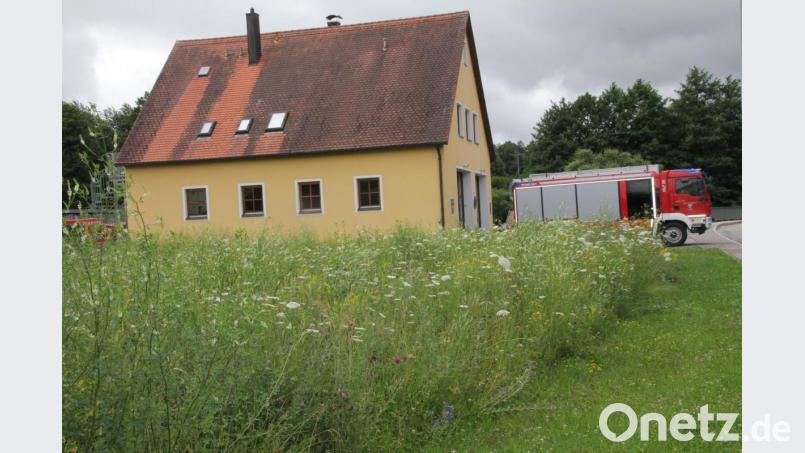 Blick auf das Gerätehaus der Feuerwehr Teunz. Die geplante Erweiterung wäre in Richtung des angrenzenden Wiesengrundstücks (im Vordergrund) möglich, das die Gemeinde bereits erworben hat. Bild: frd
