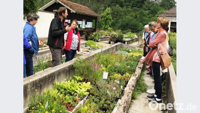 Gärtnermeister Gerhard Goletz (Zweiter von links) erläutert den Besuchern des Kastler Gartenbauvereins- seine Pflanzen und sein Gemüse sowie das Gewächshaus und die Lager- Keller der Karlshofs in Lauterhofen. Bild: jp