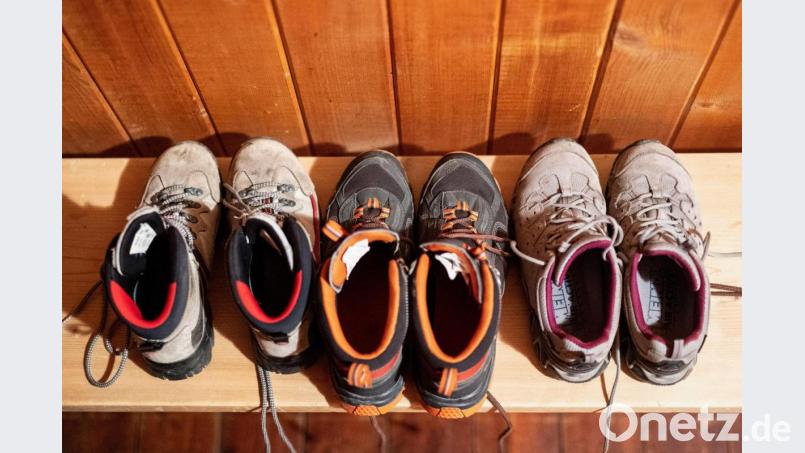 Senioren können demnächst die Wanderschuhe schnüren. Mit einer Biologin ist ein einstündiger Spaziergang geplant. Bild: picture alliance/dpa | Matthias Balk