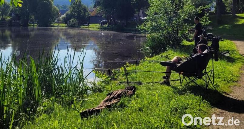 Zum ersten Mal fand das Königsfischen des Fischereivereins Oberviechtach am Hahnenweiher in Schönsee statt. Bild: Fischereiverein Oberviechtach/exb