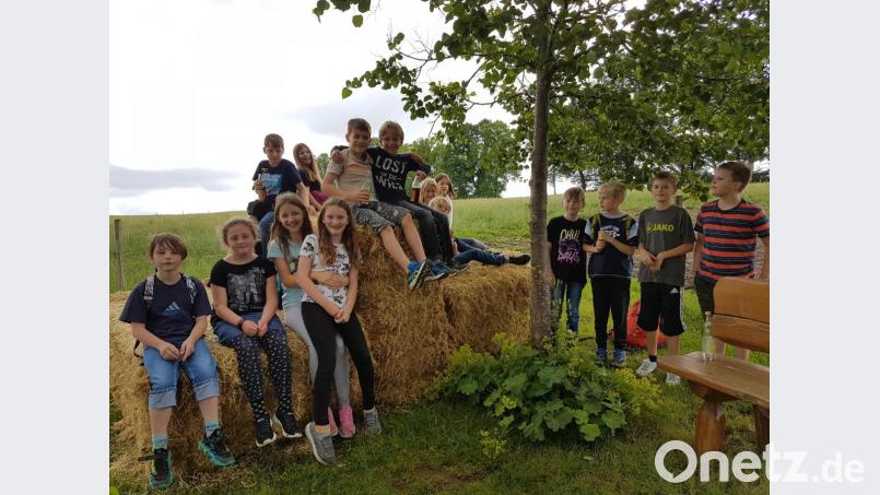 Nach ihrem Besuch bei den Kühen der Familie Zahn hatten die Mädchen und Buben der Klasse 4a viel Spaß beim Klettern auf den Strohballen. Bild: Grundschule Krummennaab/exb