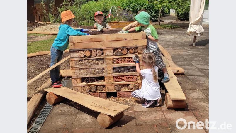Die Kinder haben ihre große Insektenwohnanlage noch mit bienenfreundlichen Blumen bepflanzt. Bild: ads