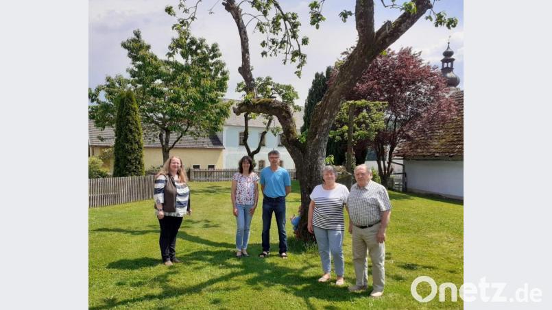Treue Urlauber konnte Marion Rösch von der Tourist-Info Bärnau auszeichnen. Im Bild (von links) Marion Rösch, die Gastgeber Monika und Josef Frank sowie die Urlauber Janina und Joachim Buchta. Bild: Stadt Bärnau/exb