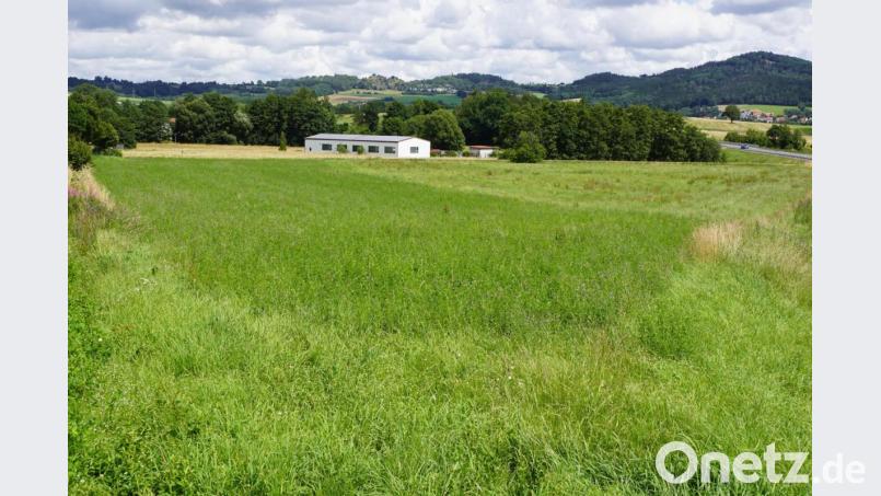 Das Bayerische Landesamt für Denkmalpflege vermutet archäologisches unter der Erde des künftigen Gewerbegebietes. Ohne Zustimmung der Unteren Behörde für Denkmalpflege darf nicht gebaggert werden. Bild: bkr