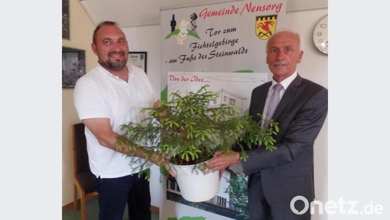 Mit der Übergabe einer jungen Fichte an Bürgermeister Peter König (rechts) wollte Oliver Becher ein Zeichen setzen. Es soll den einen oder anderen Baumpaten auf den Plan rufen, damit auch künftig im Gemeindebereich Christbäume zur Weihnachtszeit bewundert werden können. Bild: br