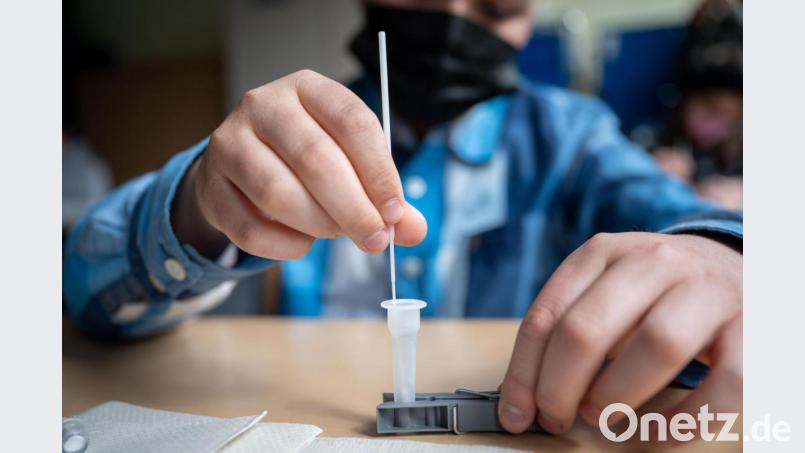 Ein Schüler führt einen Corona-Schnelltest an sich selbst durch. Lehrer haben bei einem Gespräch mit der Kreistagsmitgliedern der Freien Wähler die Corona-Situation an den Grund- und Mittelschulen &quot;durchaus kritisch&quot; beurteilt. Symbolbild: Sebastian Gollnow/dpa