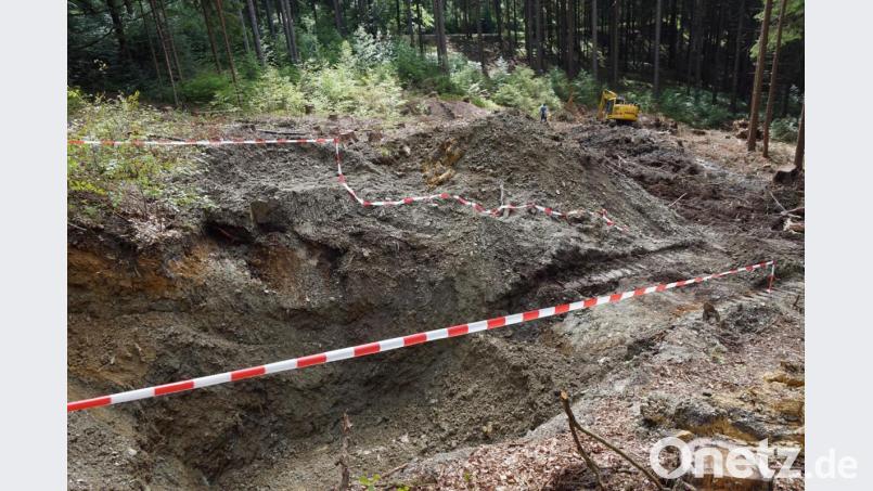 Im Quellgebiet von Punreuth haben die Arbeiten zur Sanierung der Trinkwasserquellen begonnen. Bild: bkr