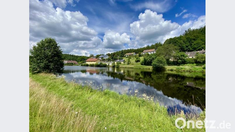 Einer der Weiher in Altenhammer; für die Weiherkette in dem Ortsteil lässt die Gemeinde derzeit ein Gutachten erstellen. Bild: Eichl