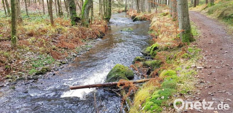 Das Zottbachtal ist zu jeder Jahreszeit schön zu bewandern. Auf dem Glasschleiferweg gibt es vieles zu entdecken. Bild: dob