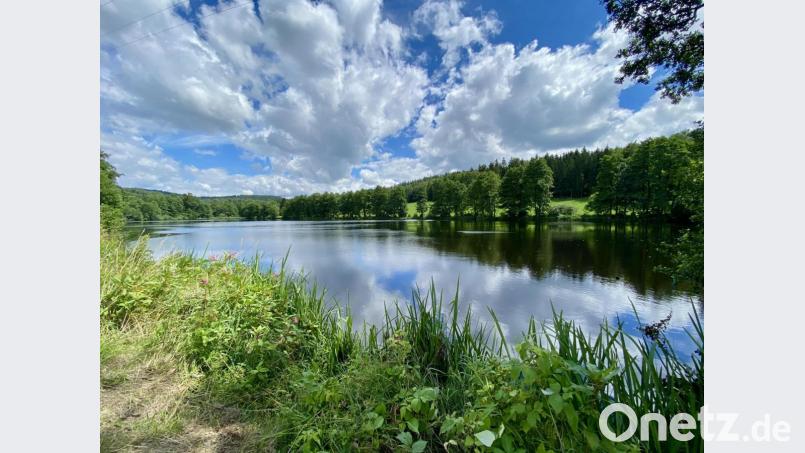 Der Flossenbürger Hornmühlweiher gehört nicht zu den Weihern, die sanierungsbedürftig sind; weiter hinten liegt jedoch der Stieberweiher mitten im Wald, und dieser ist nicht mehr zu hundert Prozent standfest. Bild: Eichl