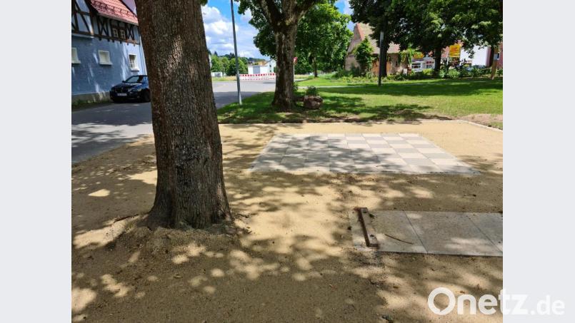 Dem Baum wurden die Wurzeln gestutzt, da er Wachstum des Rasens und Schachfeld störte – für Richard Waldmann sein Todesurteil. Bild: sne