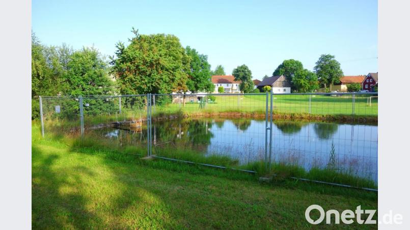 Über die Bestrebungen zur Wiederöffnung des einstigen Badeweihers im Waidhauser Ortsteil Hagendorf geht die Freude über die Bewohner des Ortsteils hinaus, weil damit eine weitere Badegelegenheit im östlichen Landkreis geschaffen wird. Bild: fjo