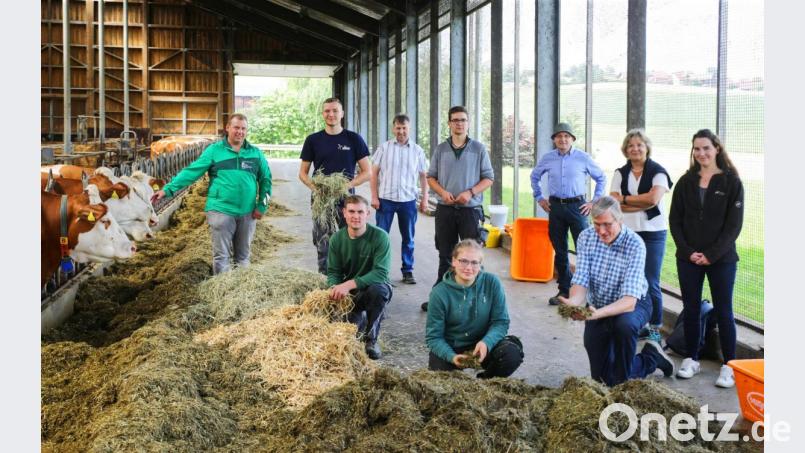 Praktische Prüfungen in Sassenhof: Im Bild (stehend, von links): Betriebsinhaber Martin Fütterer, Stephan Steiner, Prüfer Simon Zeitler, Moritz Rogler, Bildungsberater Johannes Völkl, Sachgebietsleiterin Angelika Spitzer von Regierung der Oberpfalz, Dr. Sina Siegerstätter vom AELF Weiden sowie (knieend, von links) Markus Meckl, Theresa Kreckl und Prüfer Franz Josef Baeck. Bild: njn