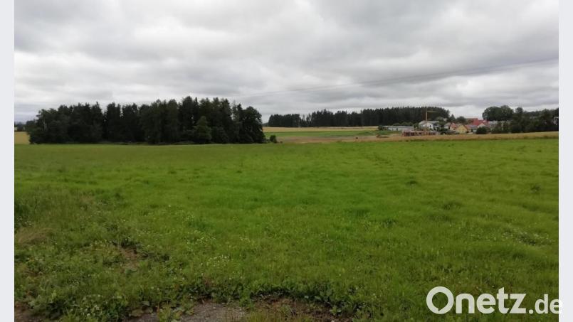 Am nördlichen Rand des Gemeindegebietes Püchersreuth in der Nähe von Pfaffenreuth soll auf 7,5 Hektar eine Photovoltaikanlage errichtet werden. Bild: fz